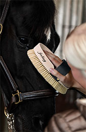 Feeling ergonomische Kardätsche am Pferd